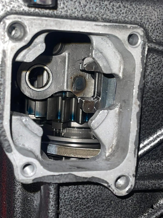 K series PPG Dog box straight cut