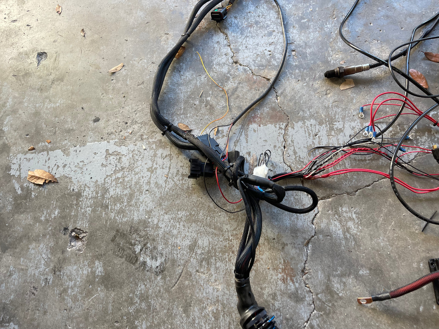 Fuel tech 550 set up for k series